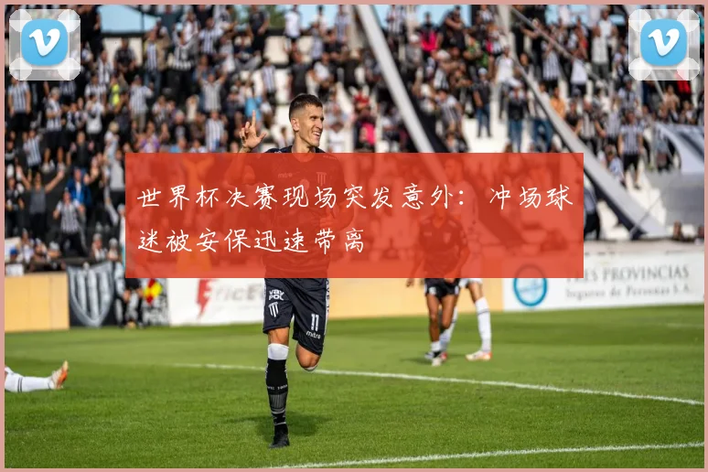 世界杯决赛现场突发意外：冲场球迷被安保迅速带离