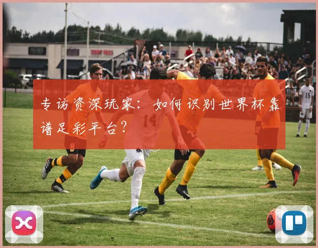 专访资深玩家:如何识别世界杯靠谱足彩平台?