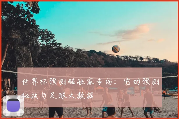 世界杯预测猫独家专访:它的预测秘诀与足球大数据