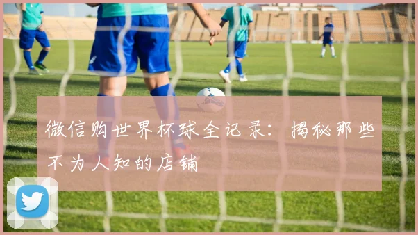 微信购世界杯球全记录:揭秘那些不为人知的店铺