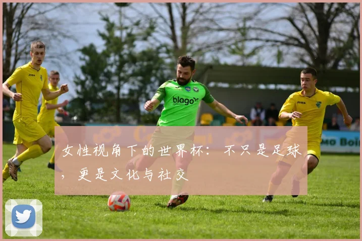 女性视角下的世界杯:不只是足球,更是文化与社交