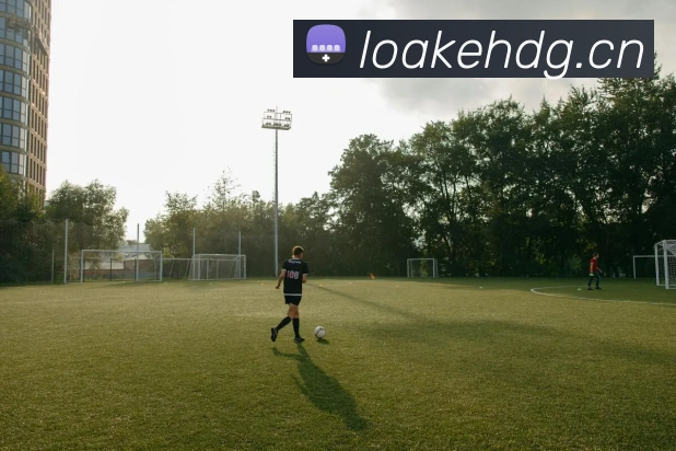 星空电竞官方入口平台生态图